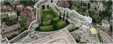 Taiz Center